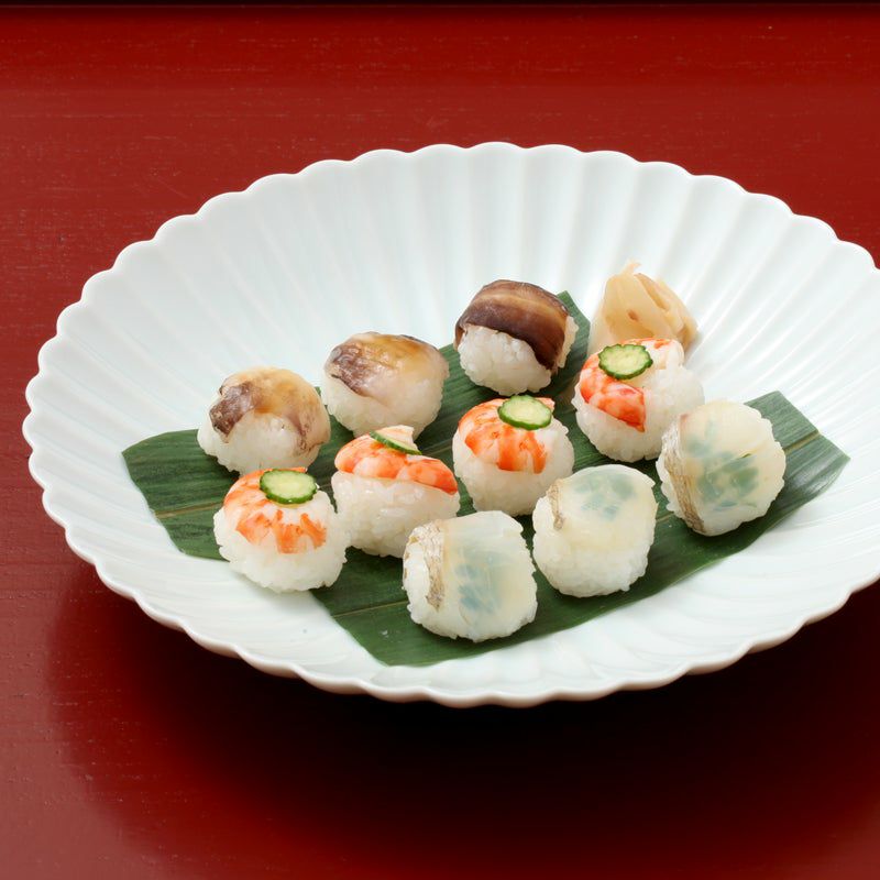 白菊（しらぎく） 白菊 大皿〈1枚〉 美濃焼 |皿や鉢など和食器の通販は