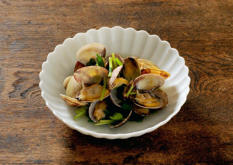 白菊（しらぎく） 単品 白菊 銘々皿〈1枚〉 美濃焼 |皿や鉢など和食器