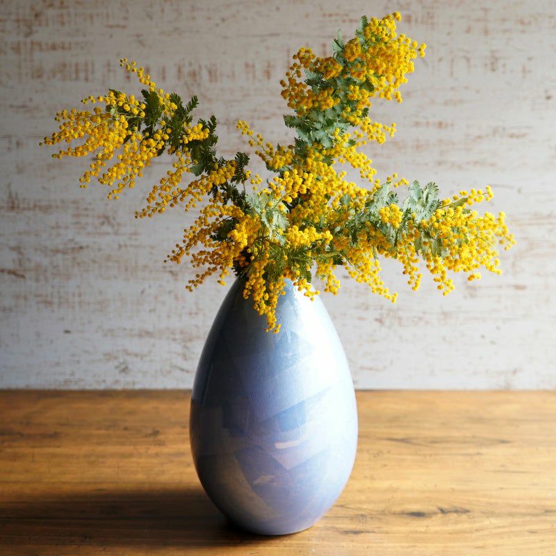 青磁橘吉花生木箱入り昭和初期 Amazon.co.jp: 花瓶 花器 花生 たち吉 橘吉 九重青磁耳付 木箱入り