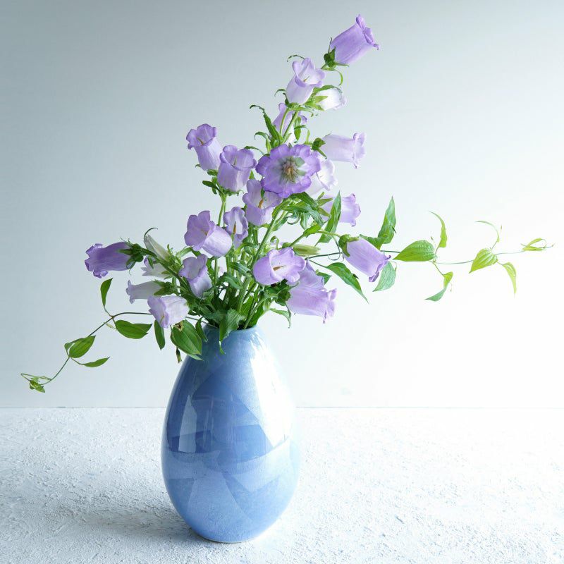 Miaou 青色 花柄 シースルータンクトップ ナチュラルナイン池袋店】 【限定カラー🩵告知】 ナチュラルナイン