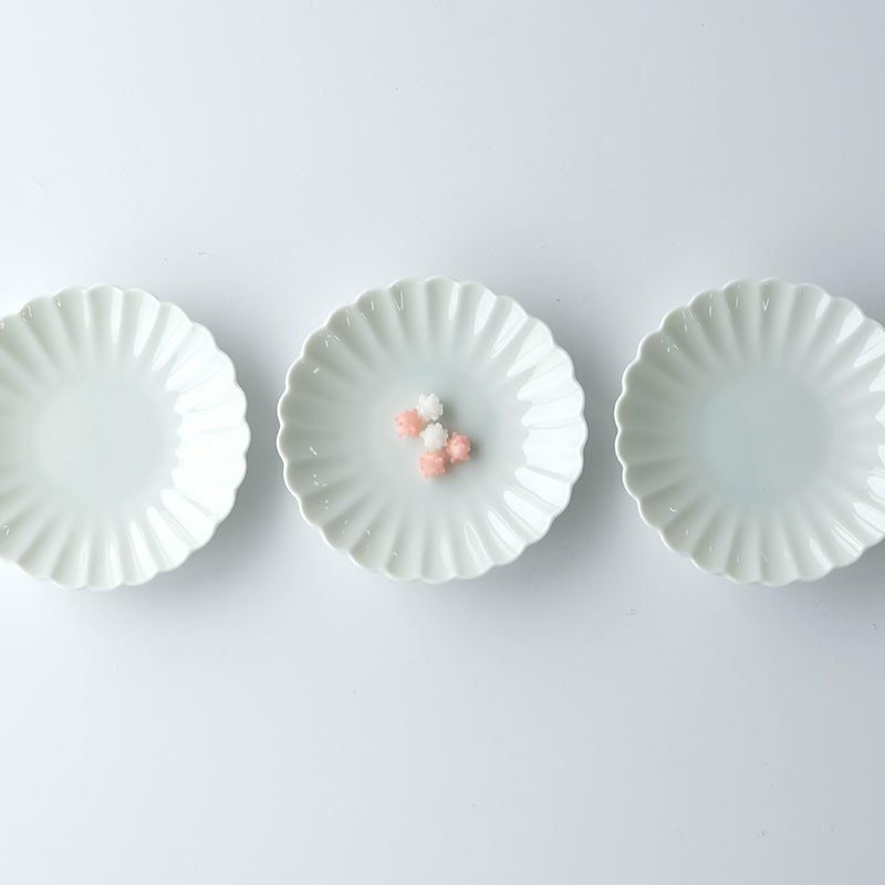 白菊（しらぎく） 白菊 小皿〈5枚〉 美濃焼 |皿や鉢など和食器の通販は